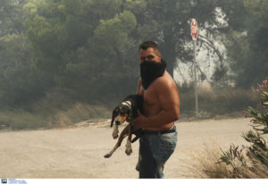 Κακοποίηση ζώων και ακτιβισμός - Η αδέσμευτη φωνή των τετράποδων