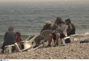 Κακοποίηση ζώων και ακτιβισμός - Η αδέσμευτη φωνή των τετράποδων