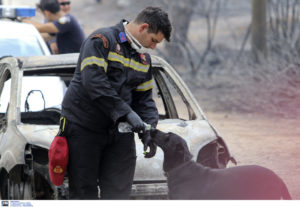 Κακοποίηση ζώων και ακτιβισμός - Η αδέσμευτη φωνή των τετράποδων