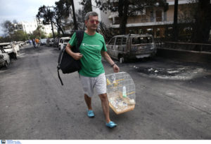 Κακοποίηση ζώων και ακτιβισμός - Η αδέσμευτη φωνή των τετράποδων