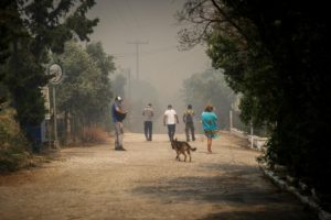 Κακοποίηση ζώων και ακτιβισμός - Η αδέσμευτη φωνή των τετράποδων