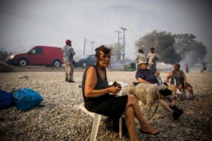 Κακοποίηση ζώων και ακτιβισμός - Η αδέσμευτη φωνή των τετράποδων