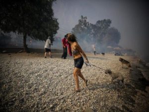 Κακοποίηση ζώων και ακτιβισμός - Η αδέσμευτη φωνή των τετράποδων