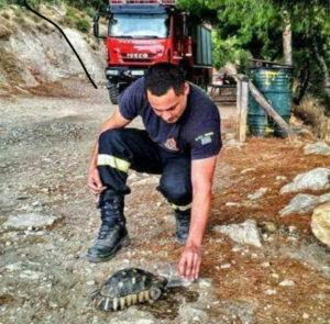 Κακοποίηση ζώων και ακτιβισμός - Η αδέσμευτη φωνή των τετράποδων