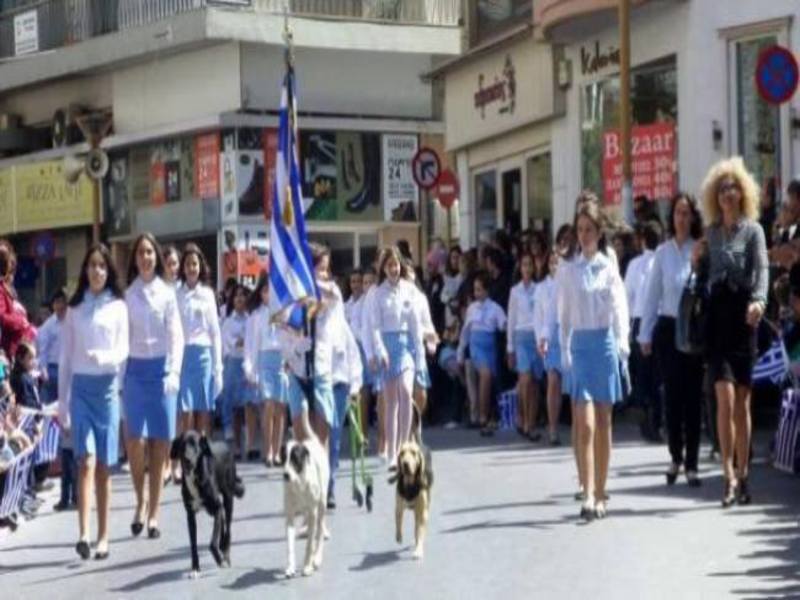 Κακοποίηση ζώων και ακτιβισμός - Η αδέσμευτη φωνή των τετράποδων