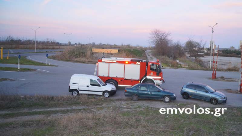 Κακοποίηση ζώων και ακτιβισμός - Η αδέσμευτη φωνή των τετράποδων