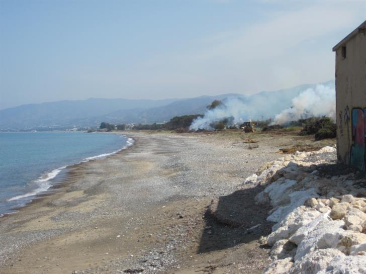 Κακοποίηση ζώων και ακτιβισμός - Η αδέσμευτη φωνή των τετράποδων