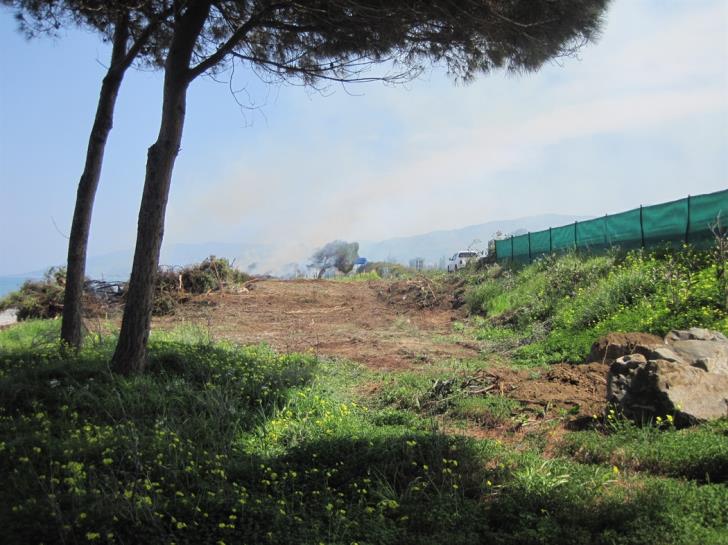 Κακοποίηση ζώων και ακτιβισμός - Η αδέσμευτη φωνή των τετράποδων