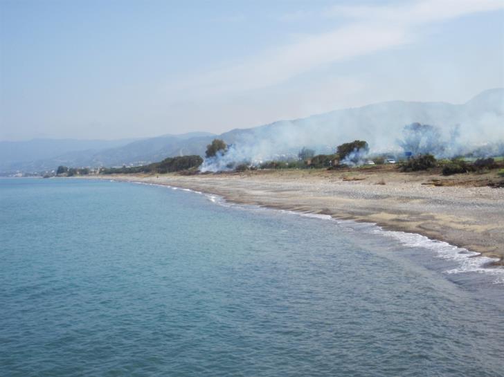 Κακοποίηση ζώων και ακτιβισμός - Η αδέσμευτη φωνή των τετράποδων