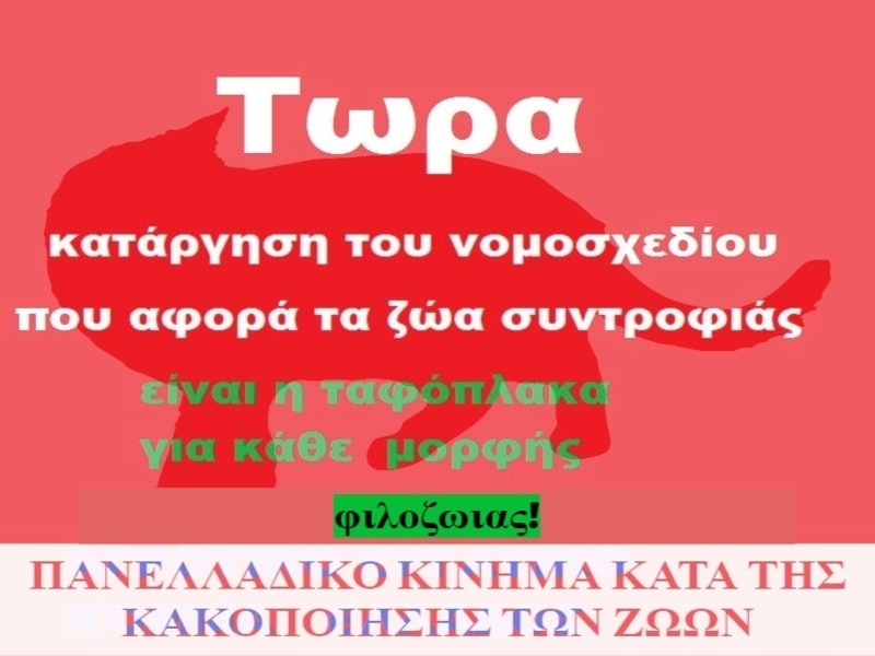 Κακοποίηση ζώων και ακτιβισμός - Η αδέσμευτη φωνή των τετράποδων