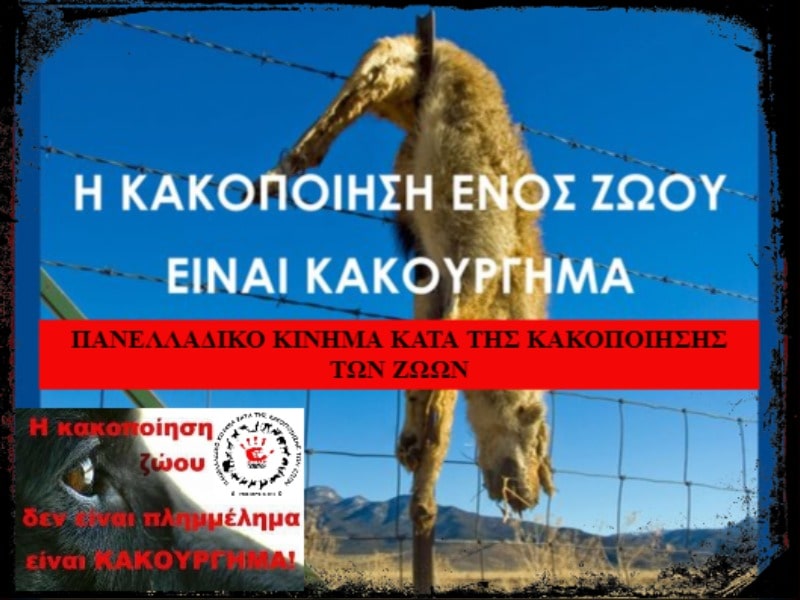 Κακοποίηση ζώων και ακτιβισμός - Η αδέσμευτη φωνή των τετράποδων