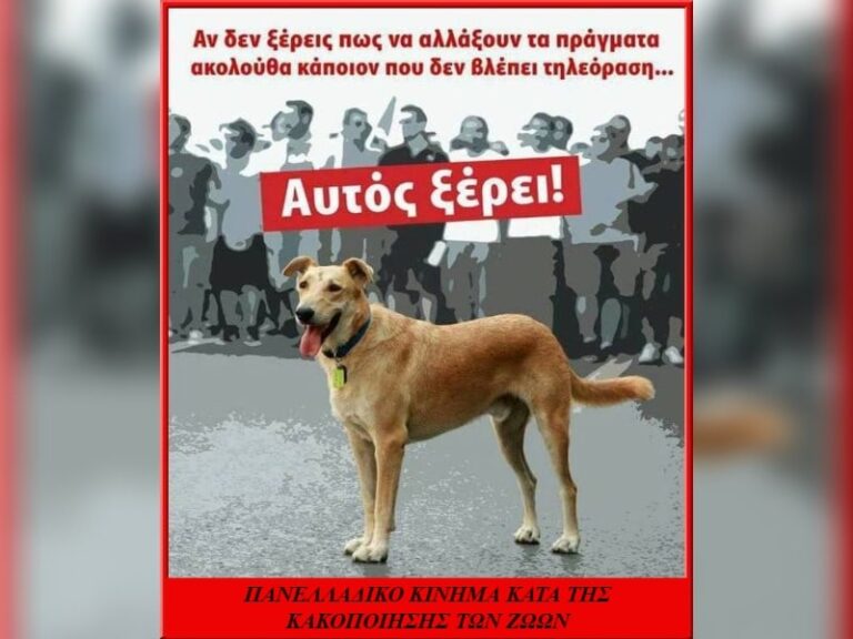 πως να γνωρισεις καποιον αν δεν βγαινεις