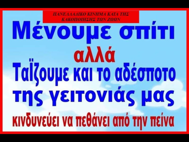 Κακοποίηση ζώων και ακτιβισμός - Η αδέσμευτη φωνή των τετράποδων