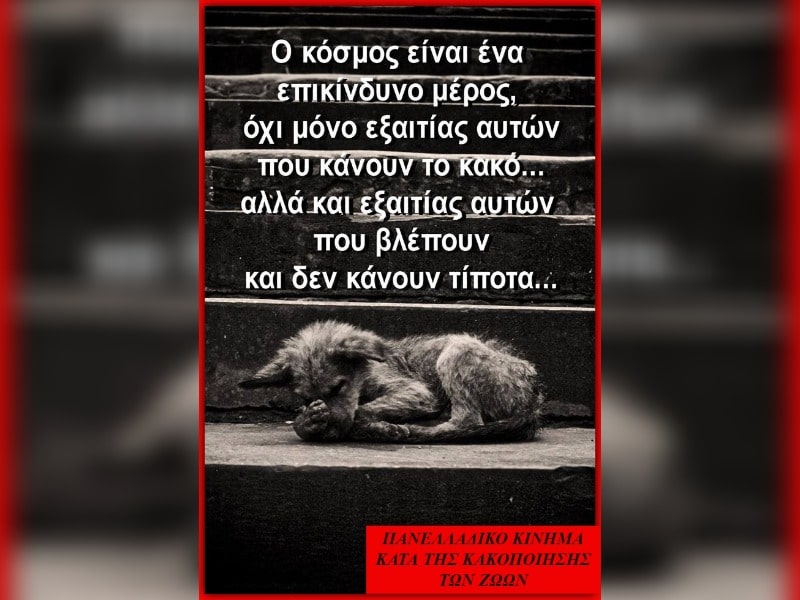 Κακοποίηση ζώων και ακτιβισμός - Η αδέσμευτη φωνή των τετράποδων