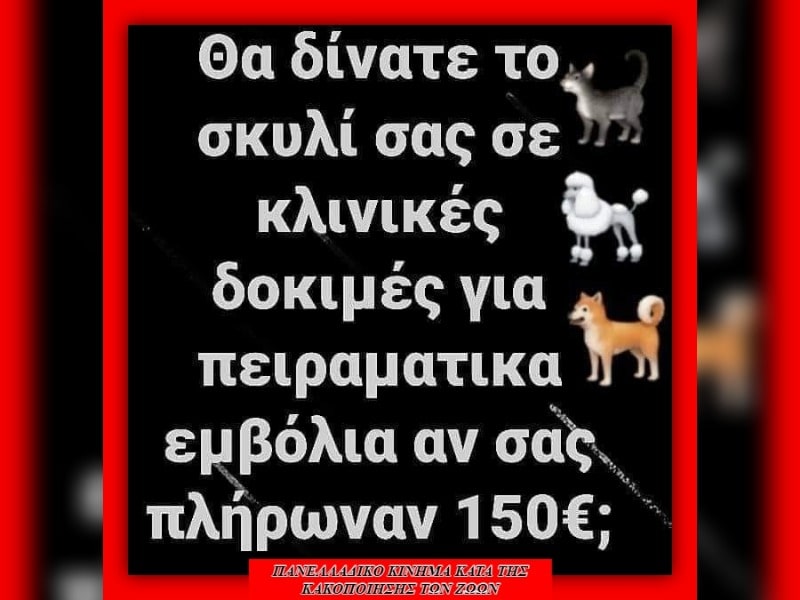 Κακοποίηση ζώων και ακτιβισμός - Η αδέσμευτη φωνή των τετράποδων