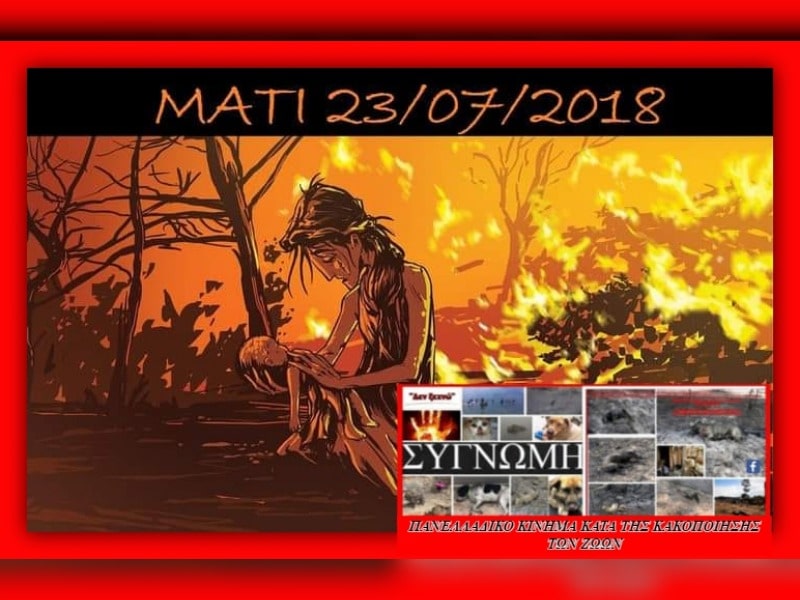 Κακοποίηση ζώων και ακτιβισμός - Η αδέσμευτη φωνή των τετράποδων