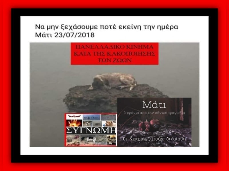 Κακοποίηση ζώων και ακτιβισμός - Η αδέσμευτη φωνή των τετράποδων