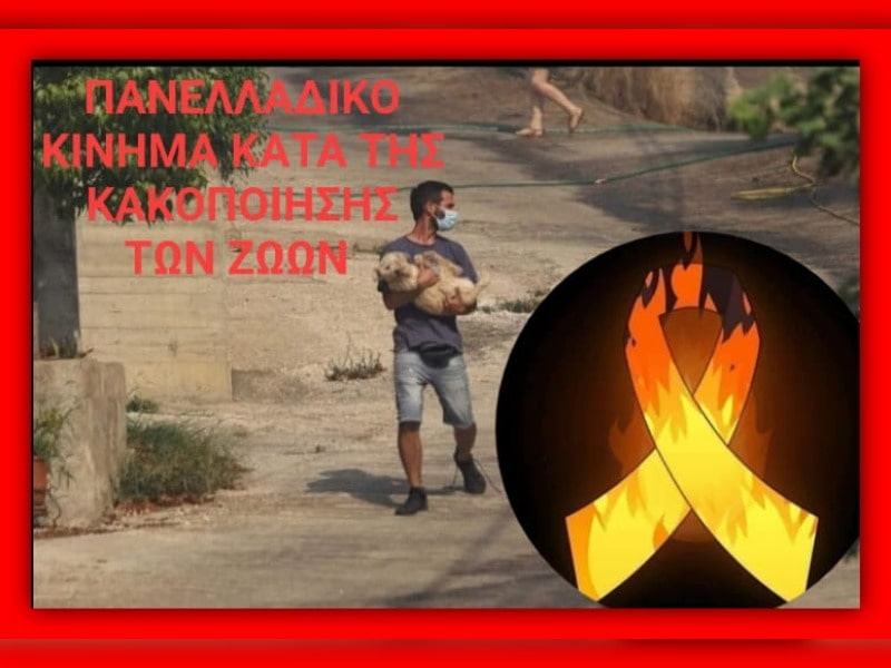Κακοποίηση ζώων και ακτιβισμός - Η αδέσμευτη φωνή των τετράποδων