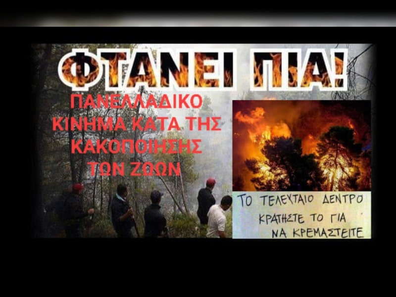 Κακοποίηση ζώων και ακτιβισμός - Η αδέσμευτη φωνή των τετράποδων