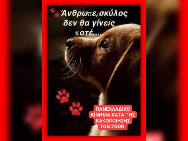 Κακοποίηση ζώων και ακτιβισμός - Η αδέσμευτη φωνή των τετράποδων