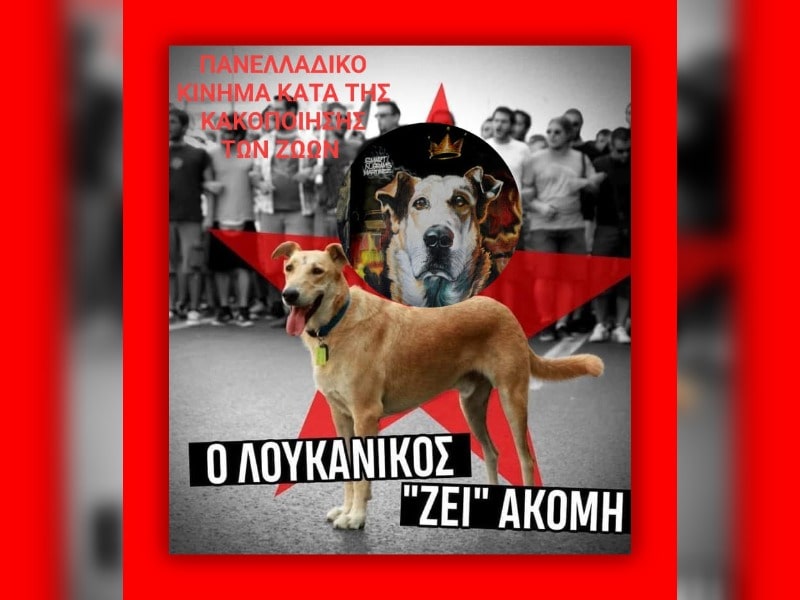 Κακοποίηση ζώων και ακτιβισμός - Η αδέσμευτη φωνή των τετράποδων