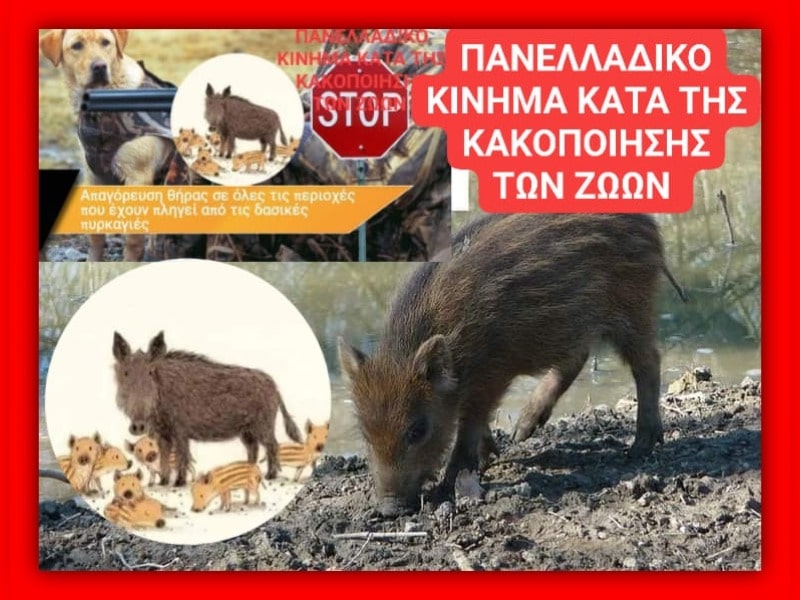 Κακοποίηση ζώων και ακτιβισμός - Η αδέσμευτη φωνή των τετράποδων