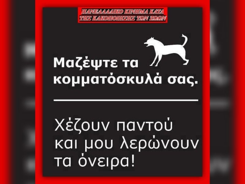 Κακοποίηση ζώων και ακτιβισμός - Η αδέσμευτη φωνή των τετράποδων