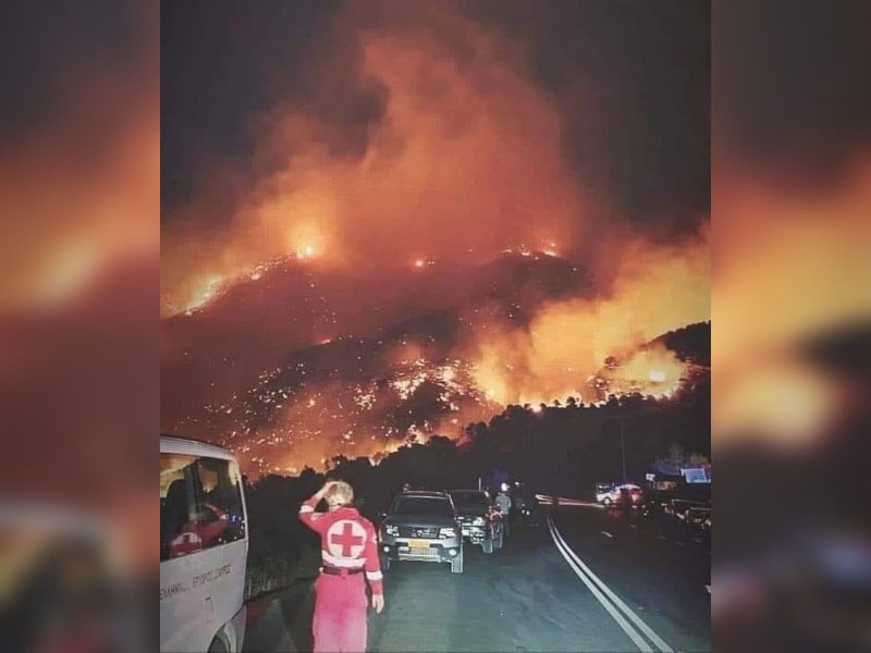 Κακοποίηση ζώων και ακτιβισμός - Η αδέσμευτη φωνή των τετράποδων