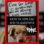 Κακοποίηση ζώων και ακτιβισμός - Η αδέσμευτη φωνή των τετράποδων
