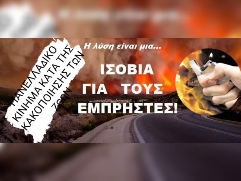 Κακοποίηση ζώων και ακτιβισμός - Η αδέσμευτη φωνή των τετράποδων