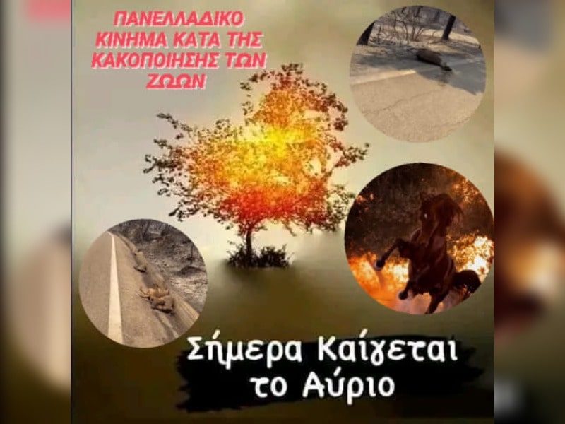 Κακοποίηση ζώων και ακτιβισμός - Η αδέσμευτη φωνή των τετράποδων