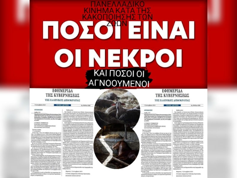 Κακοποίηση ζώων και ακτιβισμός - Η αδέσμευτη φωνή των τετράποδων