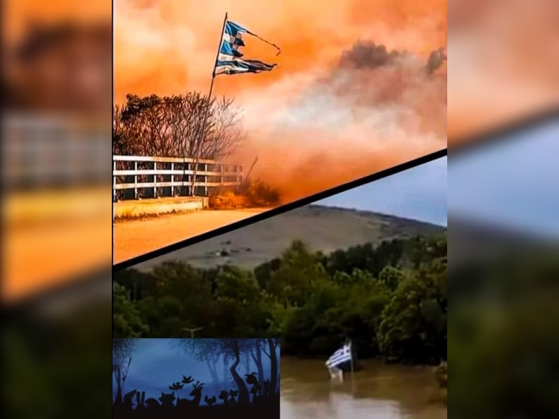 Κακοποίηση ζώων και ακτιβισμός - Η αδέσμευτη φωνή των τετράποδων