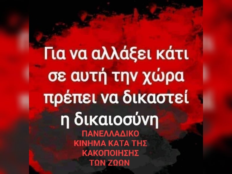 Κακοποίηση ζώων και ακτιβισμός - Η αδέσμευτη φωνή των τετράποδων