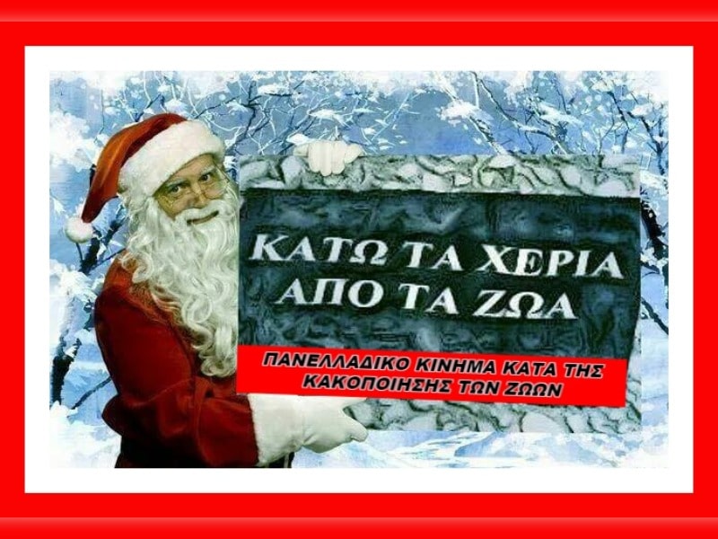 Κακοποίηση ζώων και ακτιβισμός - Η αδέσμευτη φωνή των τετράποδων