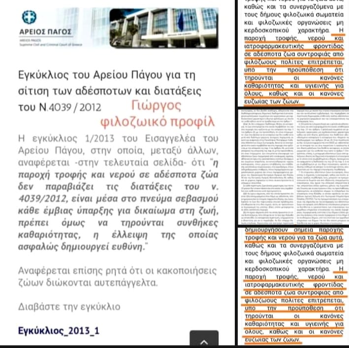 Κακοποίηση ζώων και ακτιβισμός - Η αδέσμευτη φωνή των τετράποδων