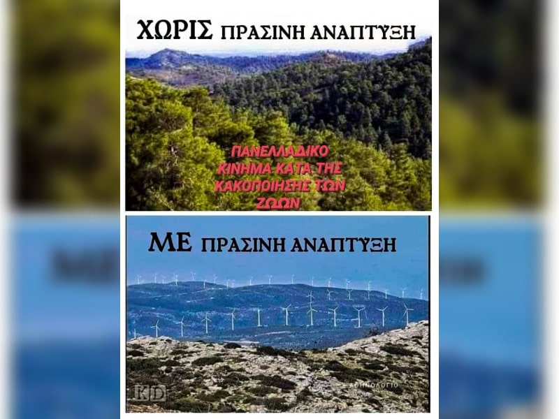 Κακοποίηση ζώων και ακτιβισμός - Η αδέσμευτη φωνή των τετράποδων