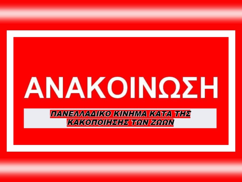 Κακοποίηση ζώων και ακτιβισμός - Η αδέσμευτη φωνή των τετράποδων