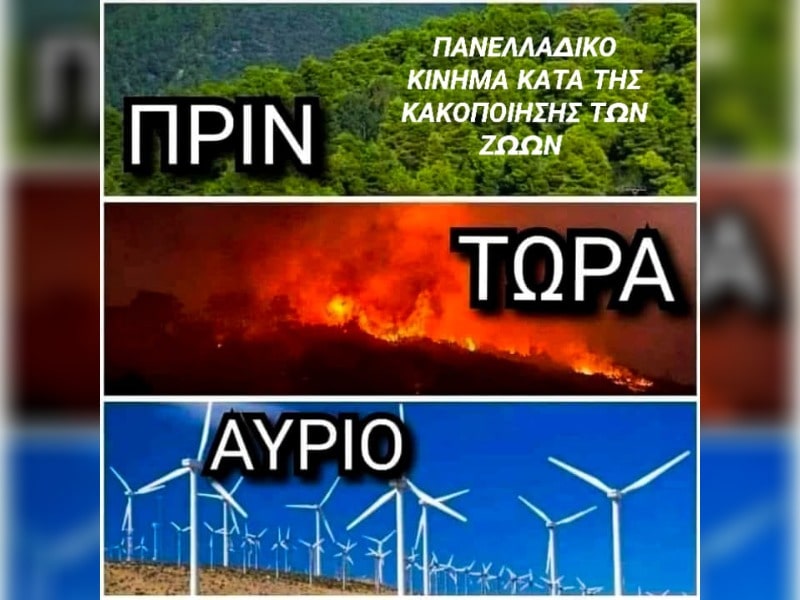 Κακοποίηση ζώων και ακτιβισμός - Η αδέσμευτη φωνή των τετράποδων