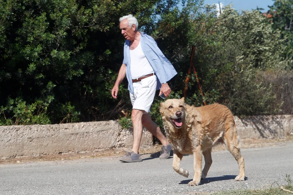 Κακοποίηση ζώων και ακτιβισμός - Η αδέσμευτη φωνή των τετράποδων