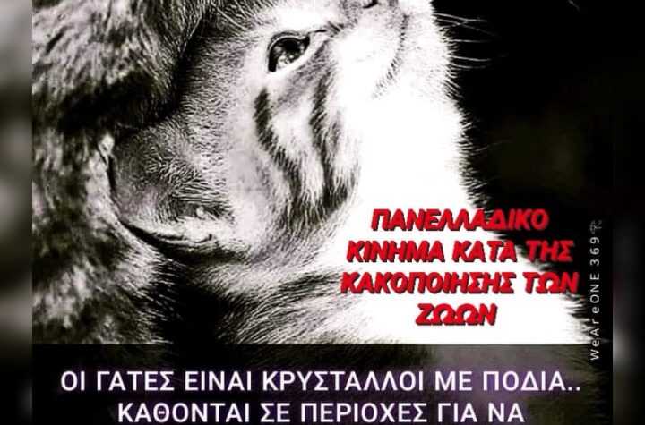 Κακοποίηση ζώων και ακτιβισμός - Η αδέσμευτη φωνή των τετράποδων