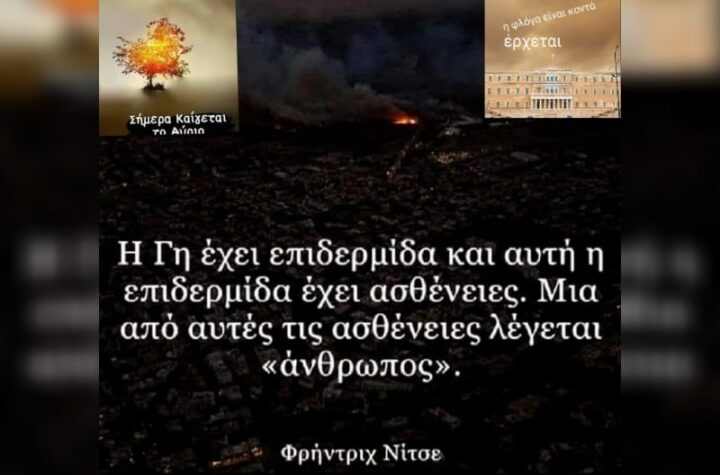 Κακοποίηση ζώων και ακτιβισμός - Η αδέσμευτη φωνή των τετράποδων