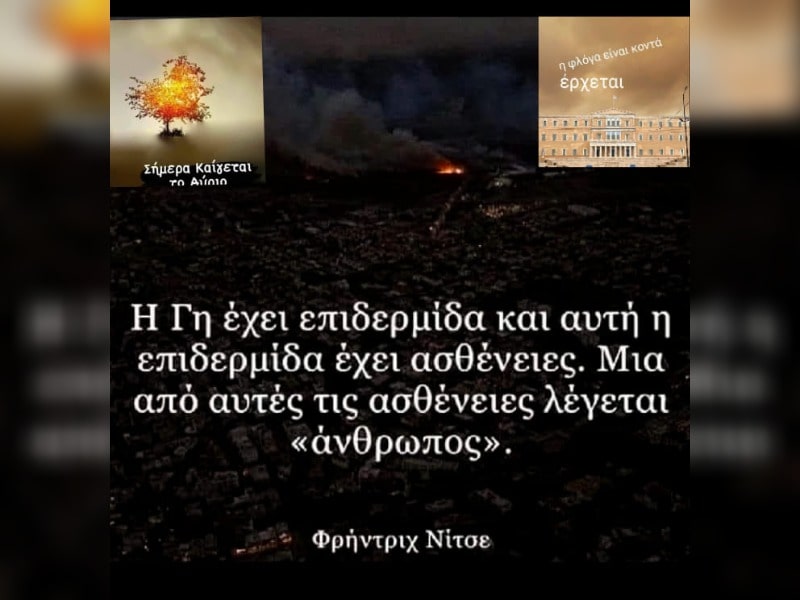 Κακοποίηση ζώων και ακτιβισμός - Η αδέσμευτη φωνή των τετράποδων