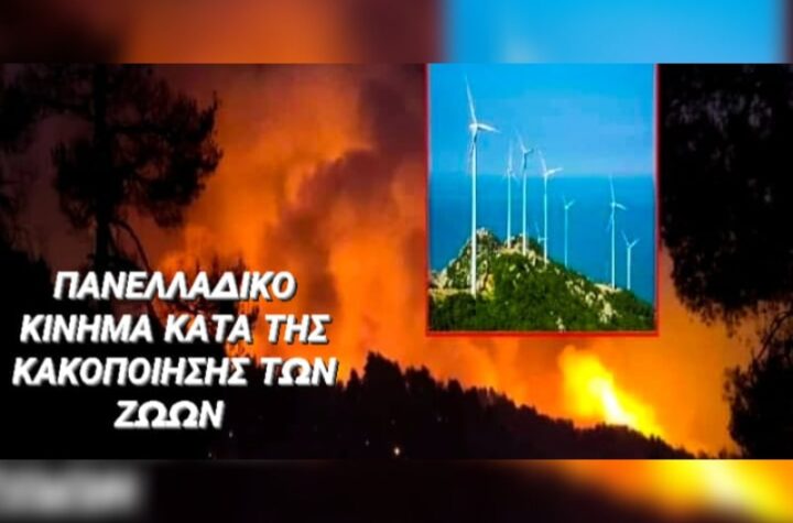 Κακοποίηση ζώων και ακτιβισμός - Η αδέσμευτη φωνή των τετράποδων