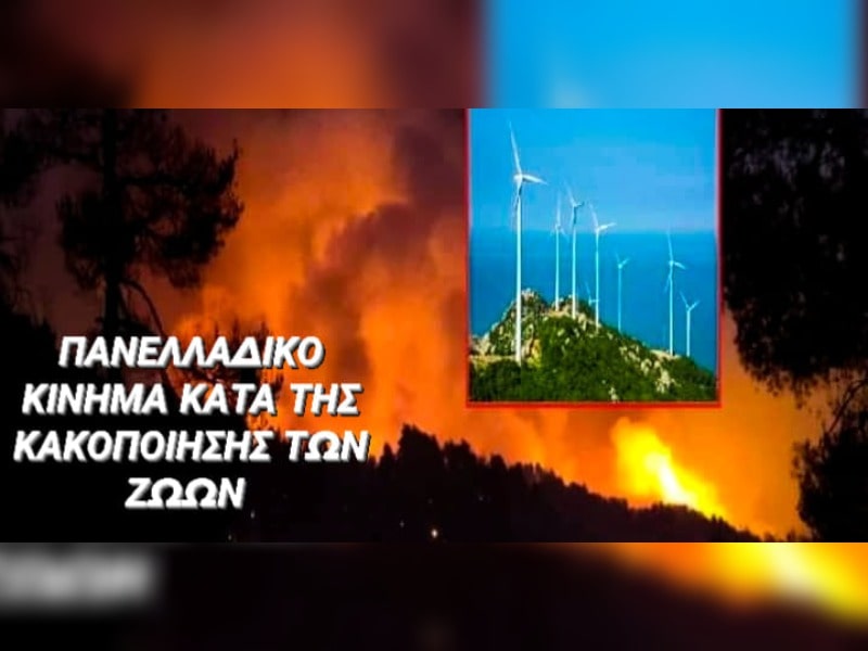 Κακοποίηση ζώων και ακτιβισμός - Η αδέσμευτη φωνή των τετράποδων