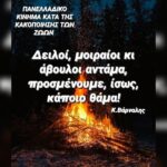 Κακοποίηση ζώων και ακτιβισμός - Η αδέσμευτη φωνή των τετράποδων