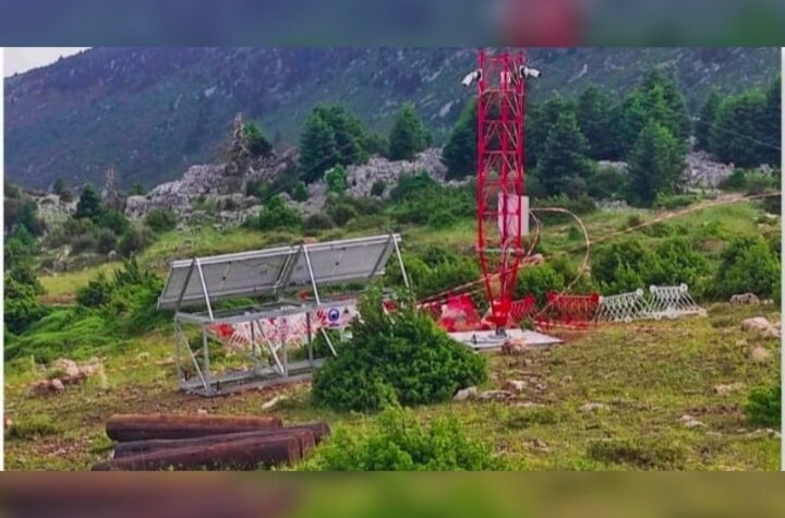 Κακοποίηση ζώων και ακτιβισμός - Η αδέσμευτη φωνή των τετράποδων