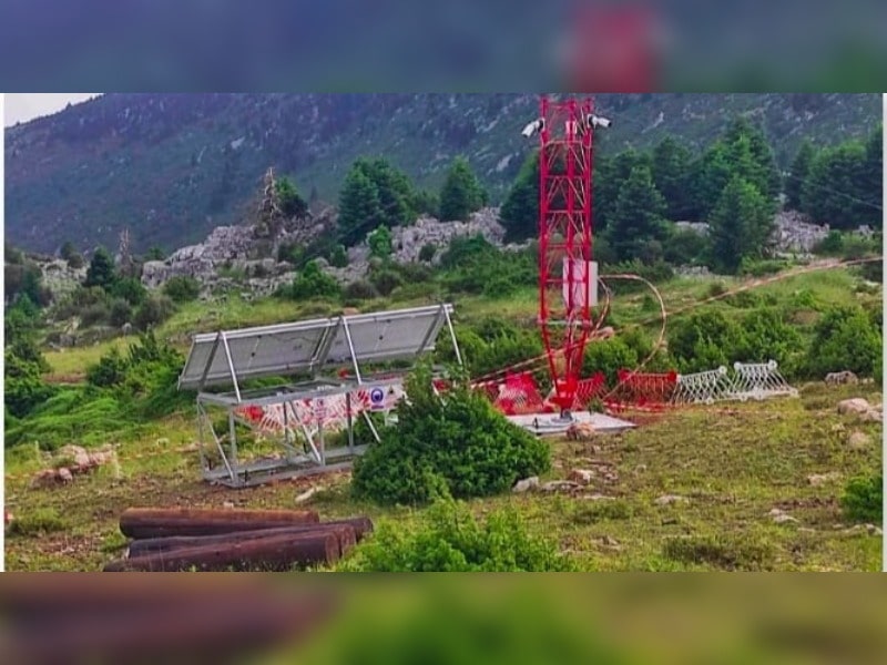 Κακοποίηση ζώων και ακτιβισμός - Η αδέσμευτη φωνή των τετράποδων