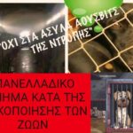 Κακοποίηση ζώων και ακτιβισμός - Η αδέσμευτη φωνή των τετράποδων