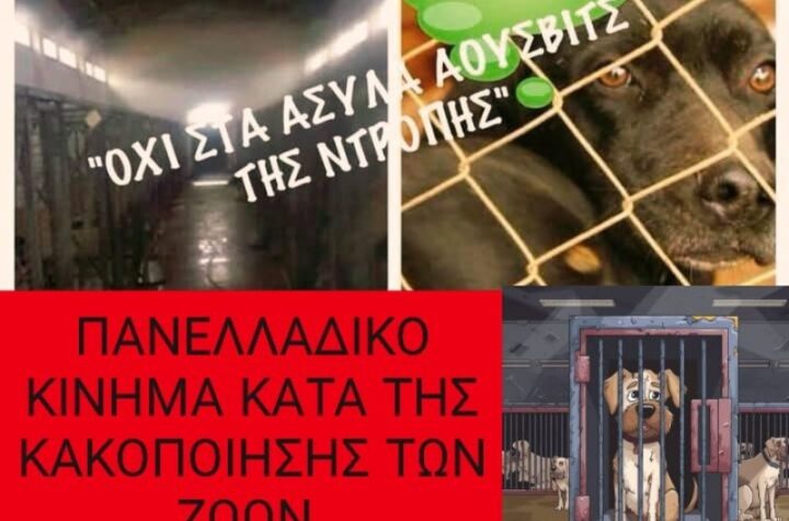 Κακοποίηση ζώων και ακτιβισμός - Η αδέσμευτη φωνή των τετράποδων